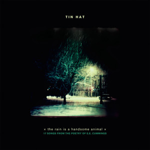 the rain is a handsome animal cover