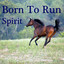 Born To Run Albumcover