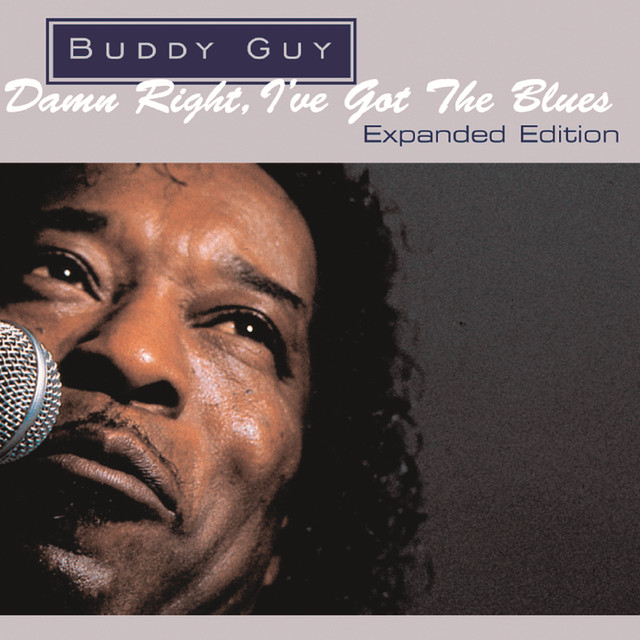 Damn Right, I've Got The Blues cover