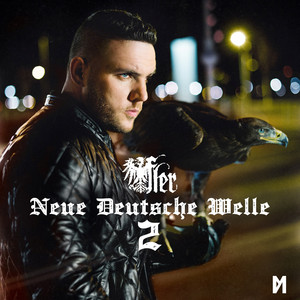 Neue Deutsche Welle 2 album