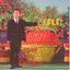 Super Shiny Dreams Albumcover