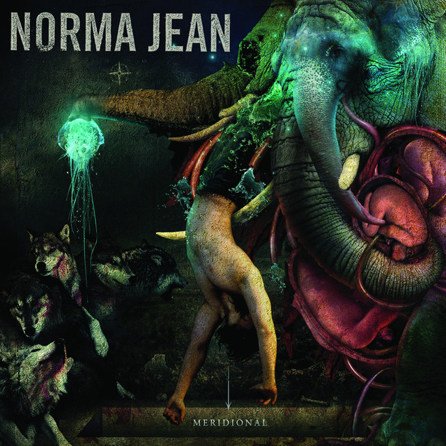Meridional cover