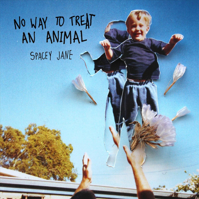 No Way To Treat An Animal cover
