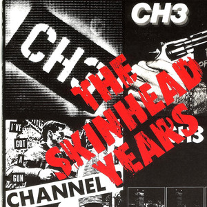 The Skinhead Years cover