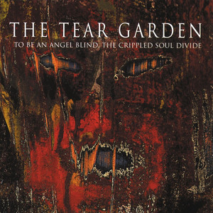 To Be an Angel Blind, the Crippled Soul Divide cover