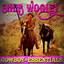 Cowboy Essentials cover