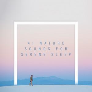 41 Nature Sounds for Serene Sleep album