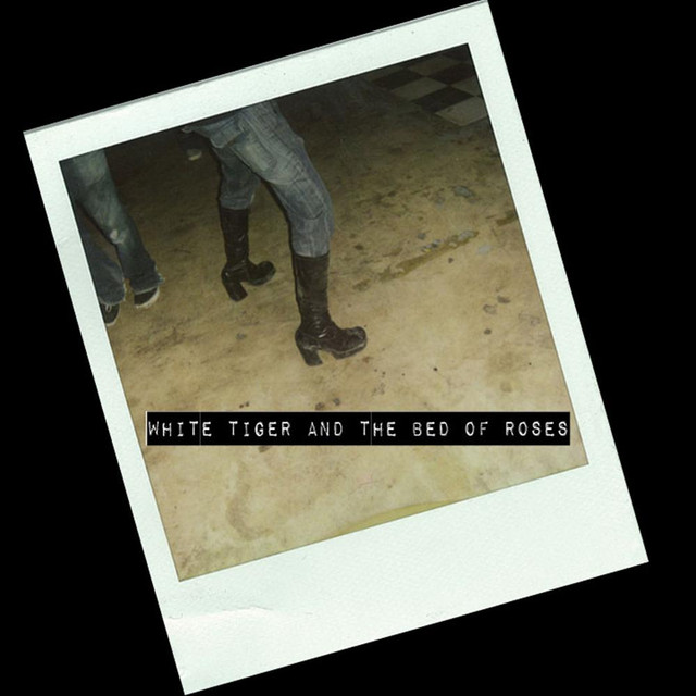 White Tiger and the Bed of Roses Photo