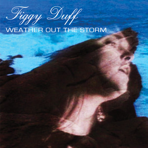 Weather Out the Storm cover