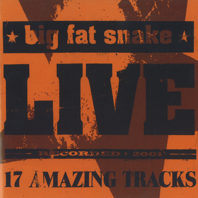 Live (17 Amazing Tracks) cover