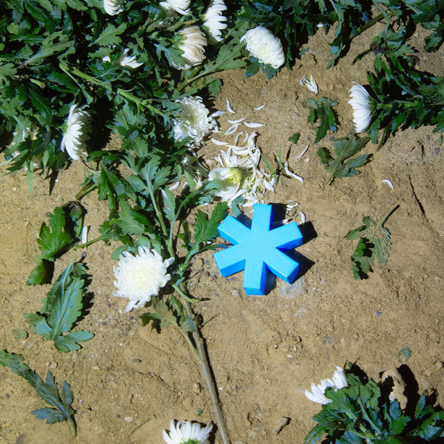 KIRARA Photo