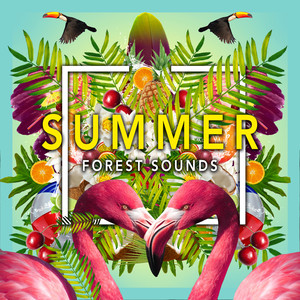 Summer Forest Sounds album