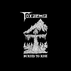 Toxaemia poster