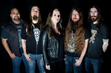 Collibus Photo