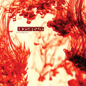 Effloresce (Remastered) cover
