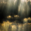 15 Rain Sounds. Natural Sounds for Sleeping, Yoga, Study or Meditation cover