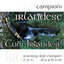 Campioni Irlandese - Tubi Irlandese Albumcover