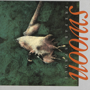 Swoon cover