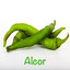 Alcor Albumcover