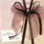 A Gift of Love cover