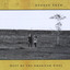Dust Of The American Pixel Albumcover