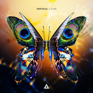 U & Me cover