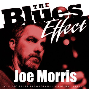 The Blues Effect - Joe Morris album