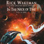 In the Nick of Time (Live in 2003) cover