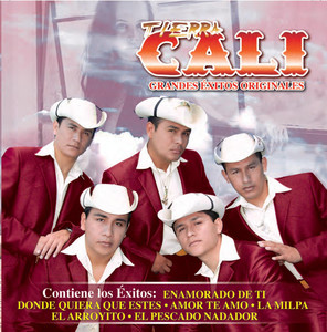 Grandes Éxitos Originales album