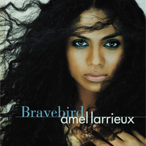 Bravebird album