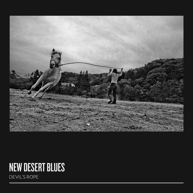 Devil's Rope cover