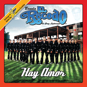 Hay Amor album