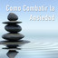 Como Combatir la Ansiedad, Sonidos de la Naturaleza y Ruido Blanco cover