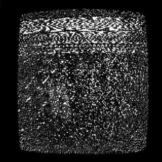 Apples of Idun Photo