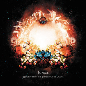 Reports From the Threshold of Death cover