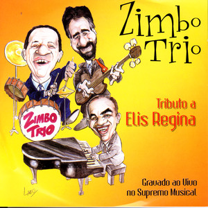 Tributo A Elis Regina album