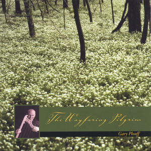 the wayfaring pilgrim Albumcover