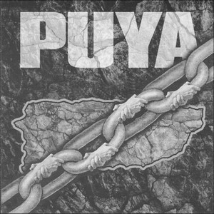 Puya cover