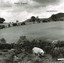 Lost and Found cover