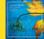Rosetti: Horn Concertos Albumcover