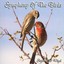Symphony Of The Birds Albumcover