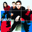 Neve cover