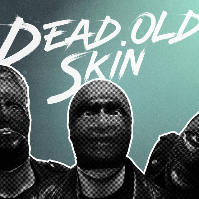 Old Skin Photo