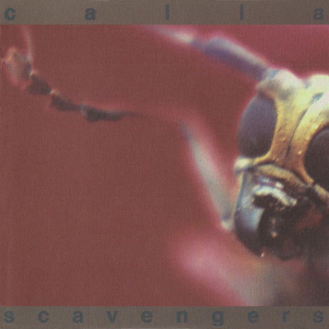 Scavengers cover