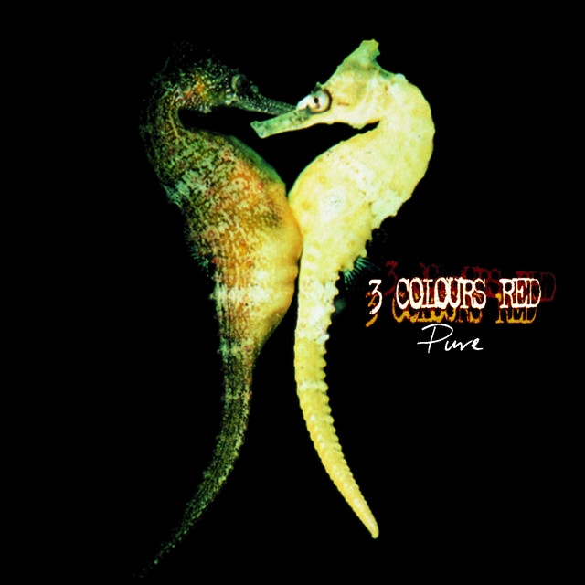 Pure cover
