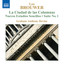 Brouwer: Guitar Music, Vol. 4 - La Ciudad De Las Columnas / Nuevos Estudios Sencillos cover