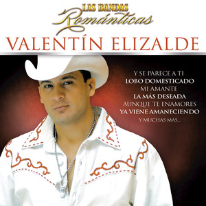 Las Bandas Románticas album