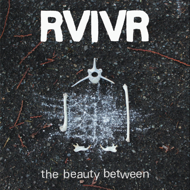 The Beauty Between cover