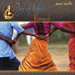 Joy of Life cover