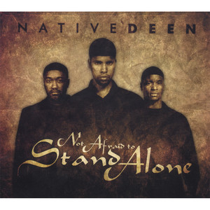 Not Afraid to Stand Alone cover
